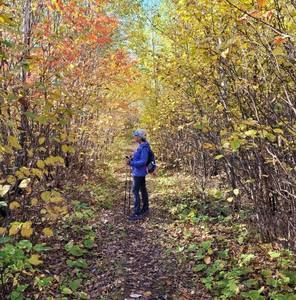 Meet your Posher, Colleen